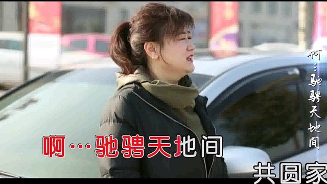 王妍 - 相伴一生 (KTV版)