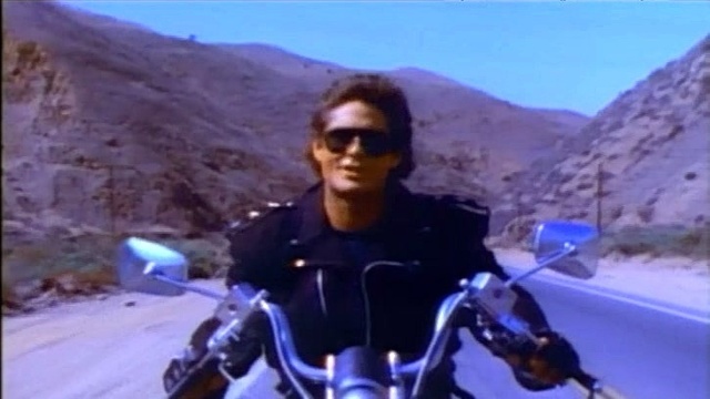 David Hasselhoff - Crazy For You