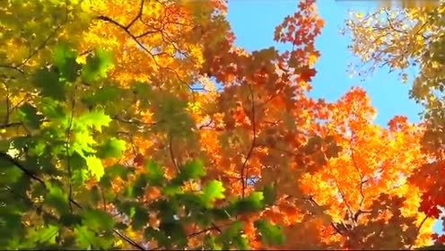 Blank & Jones - Summer Sun