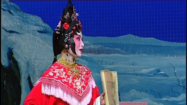 彭炽权 - 风雪月下情 (KTV版)