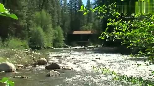 Leo Rojas - Der Letzte Mohikaner