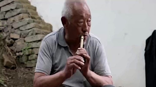 杨彩华 - 我是一棵小小的树（女声版） (KTV版)