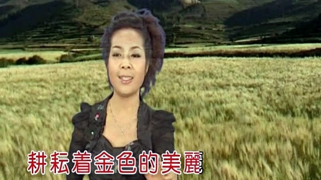 苏玮 - 老师颂 (KTV版)