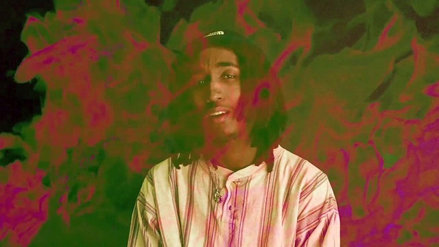 Swan Lingo - WONDER WHAT