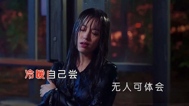 汪波 - 人生的酒醉了谁 (KTV版)