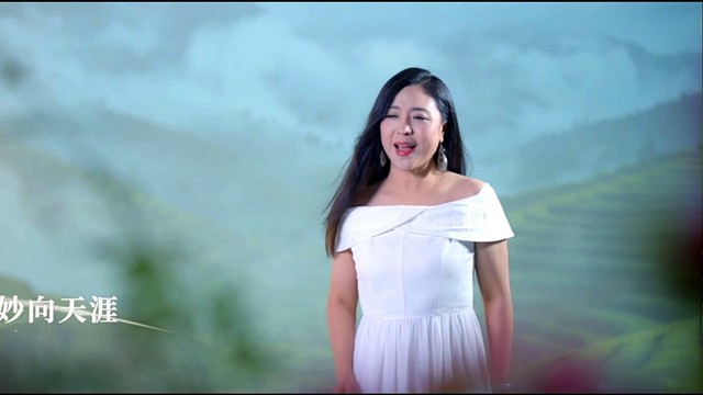 普洱之约