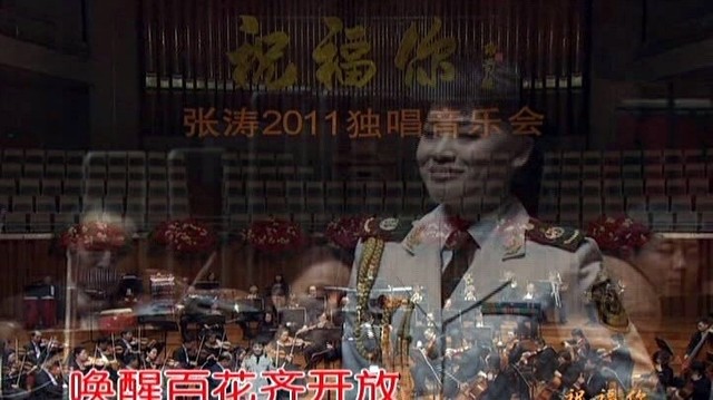 张妍 - 红梅赞 (KTV版)