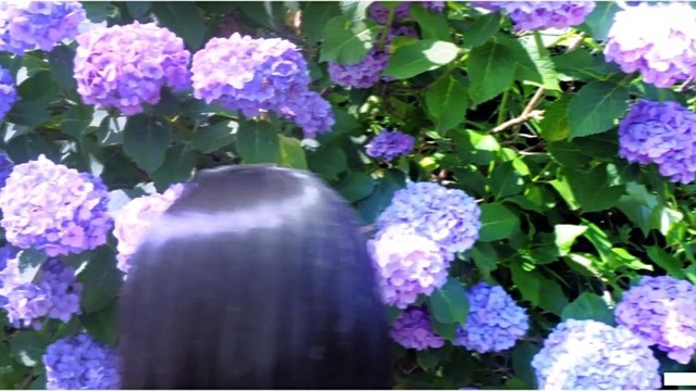 THREE1989 - 紫陽花 (歌词版)