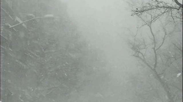 Cashmere Cat - Trust Nobody (音频版)