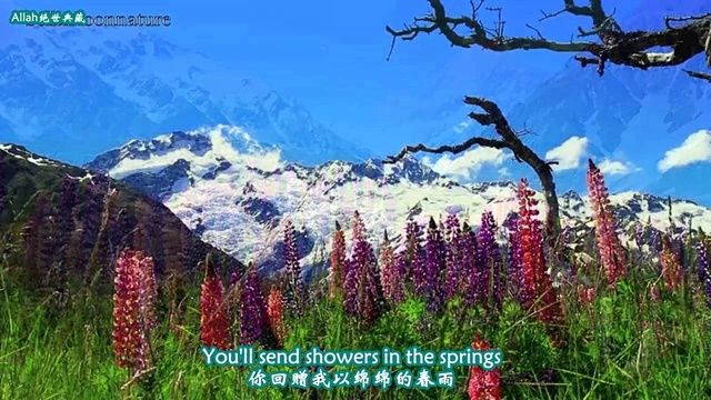 Dan Fogelberg - Longer 中英字幕版(Allah制) (KTV版)