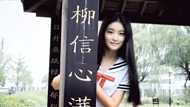 柴蔚 - 一笑倾城 (翻唱版)