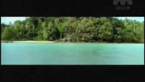 Deep Forest - Pacifique