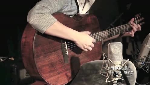 卢家宏 - 流泪以后