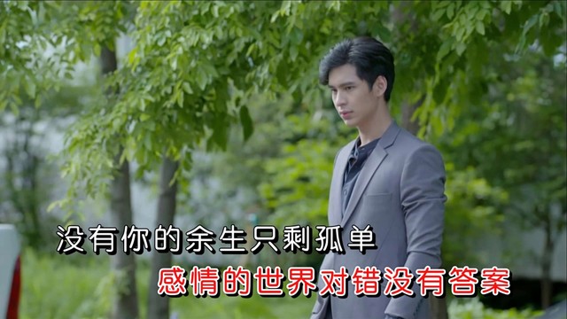 梦翎 - 一辈子的遗憾 (KTV版)