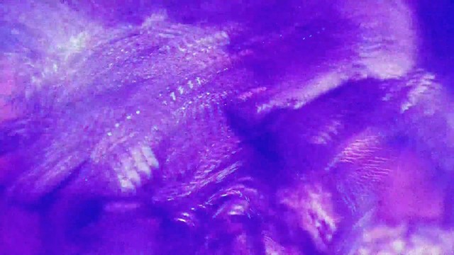 City morgue - OUTER SPACE