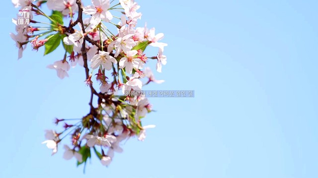 朴基英 - 산책 (Go for a Walk)