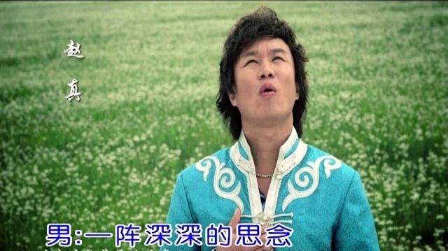 赵真 - 草原的月亮 (KTV版)