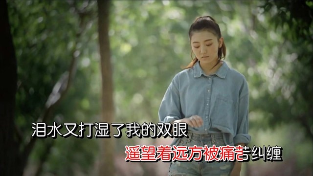 夏红英 - 默默的把你期盼 (女声版)