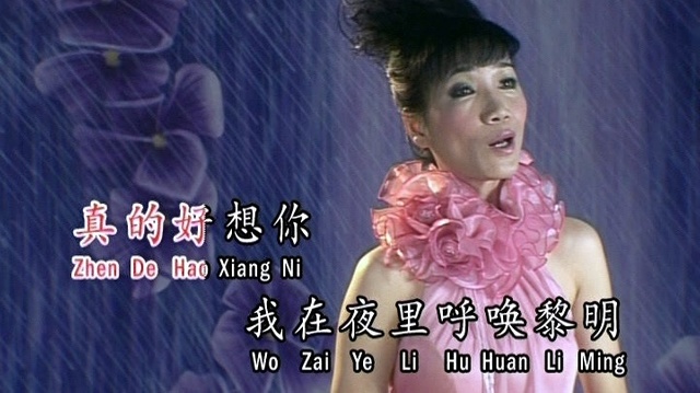 刘秋仪 - 真的好想你 (KTV版)