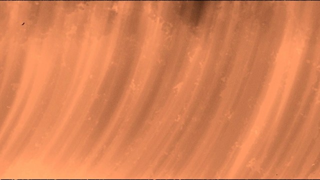 宋雨琦 (YUQI) - Giant