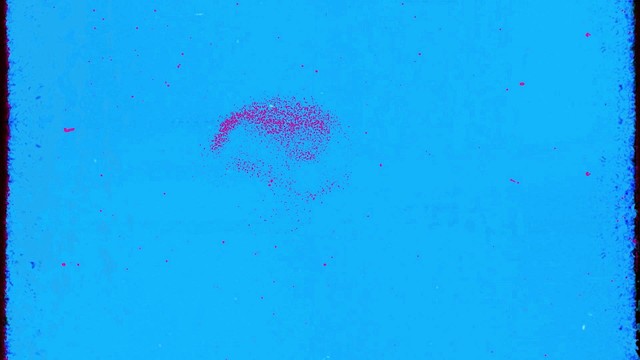 Thom Yorke - Open Again