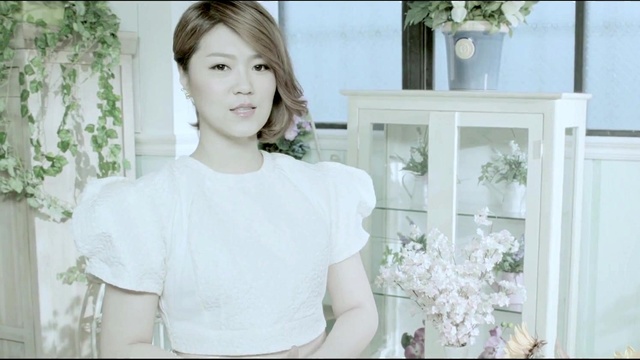 洪荣宏 - 梦中的爱人