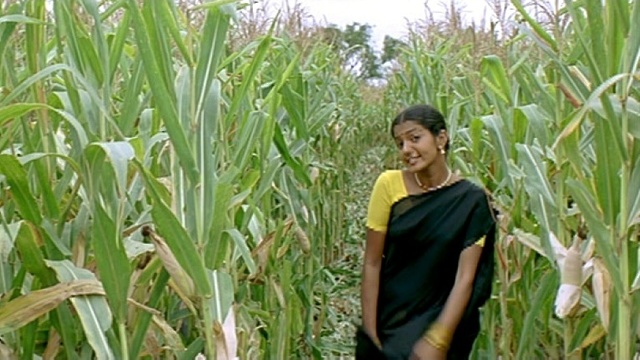 Harini - Maman Engirukka