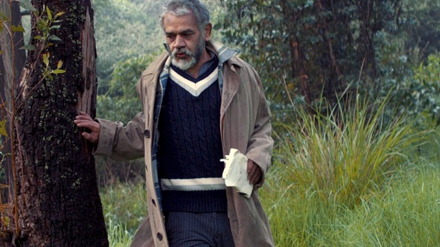 The Guadaloops - La Teoría de la Felicidad