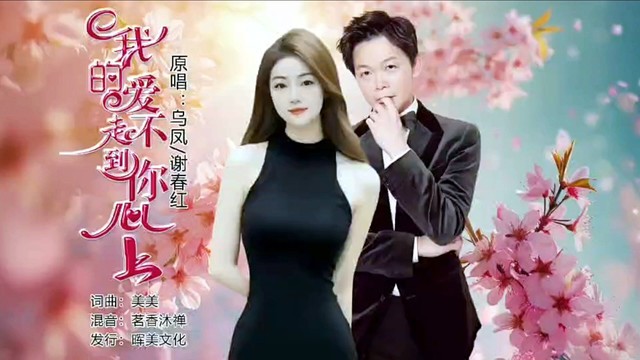 乌凤 - 我的爱走不到你心上 (对唱版)