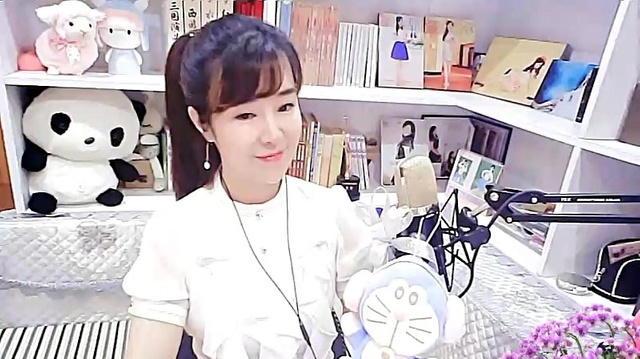 紫菱 - 万水千山总是情 (翻唱版)