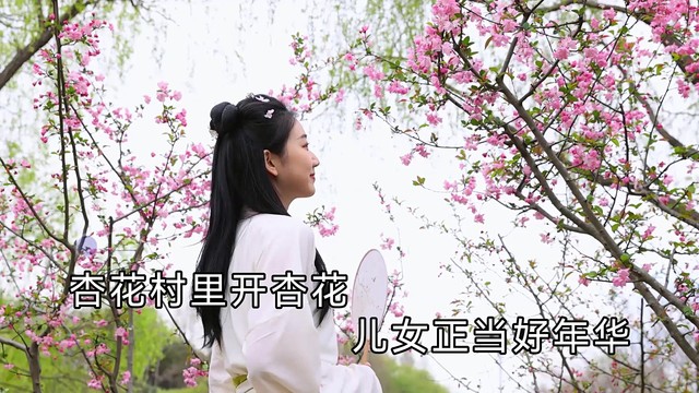 高咏梅 - 人说山西好风光 (KTV版)