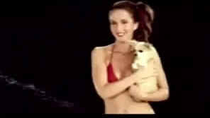 Ashley Wallbridge - Zorro