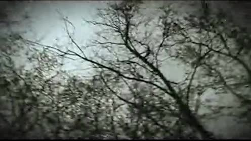 Graham Coxon - Sorrows Army