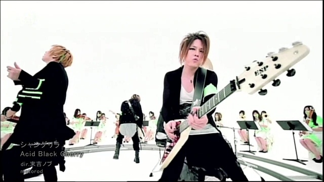 Acid Black Cherry - Shangrila