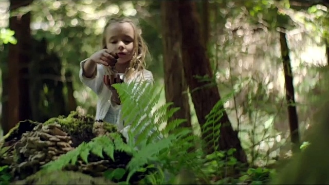 San Fermin - Sonsick