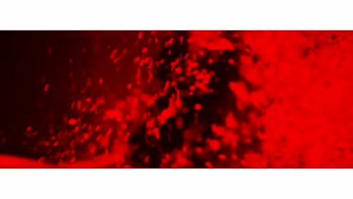 Township Rebellion - Shame