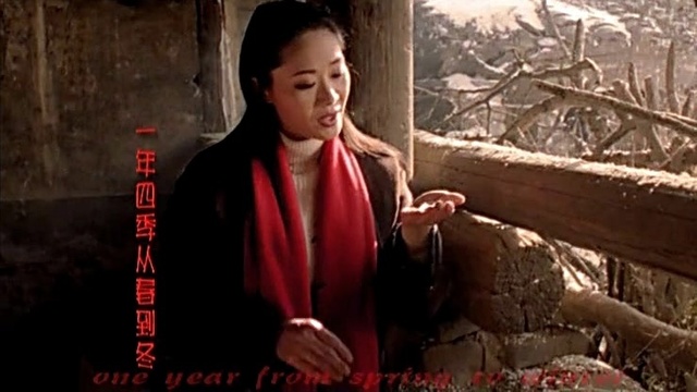 于文华 - 想起老妈妈