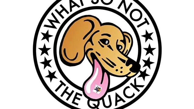 Various Artists - Like This Like That