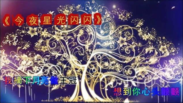 9420孟浩 - 今夜星光闪闪