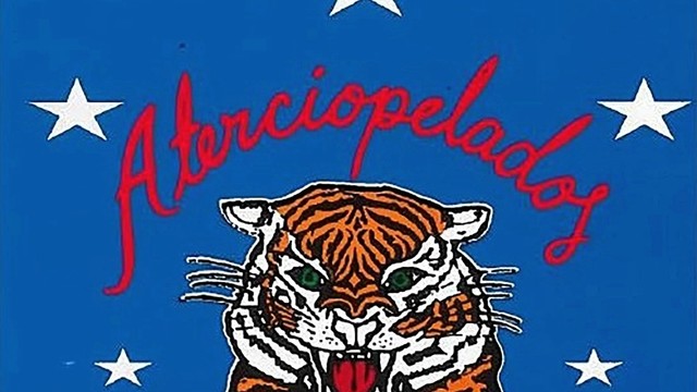 Aterciopelados - La Gomela (音频版)