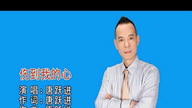 唐跃进 - 伤到我的心 (KTV版)