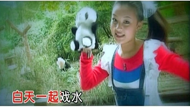 沈芯羽 - 熊猫宝贝 (KTV版)
