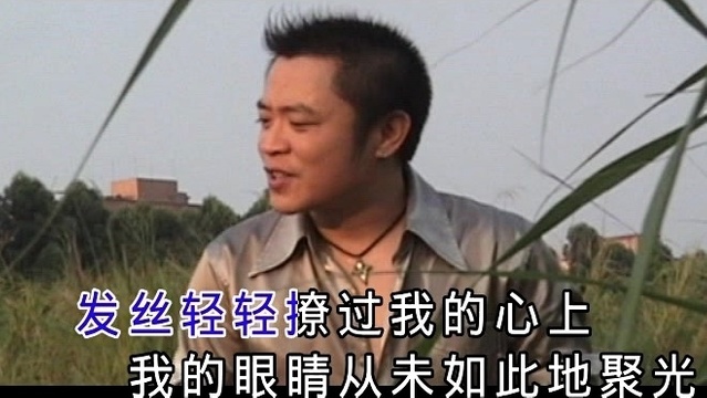 张挥 - 你的长发 (KTV版)