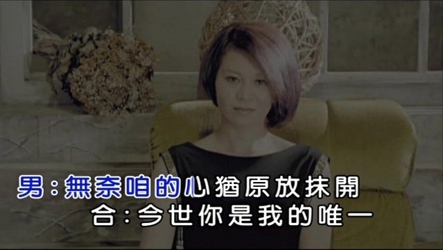 谢宜君 - 今生我的爱 (KTV版)
