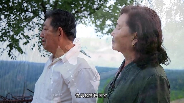 朱潮勇 - 亲爱的爸妈