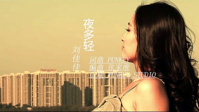 刘佳佳 - 夜多轻