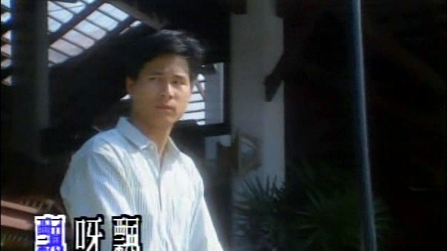 紫薇 - 绿岛小夜曲 (KTV版)