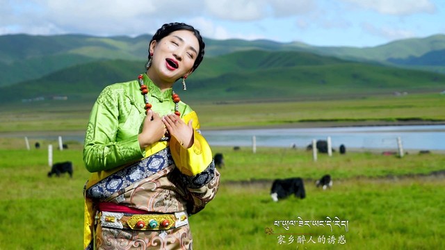 仲白 - 梦回草原