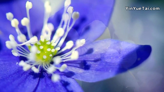 Kevin Kern - Bittersweet