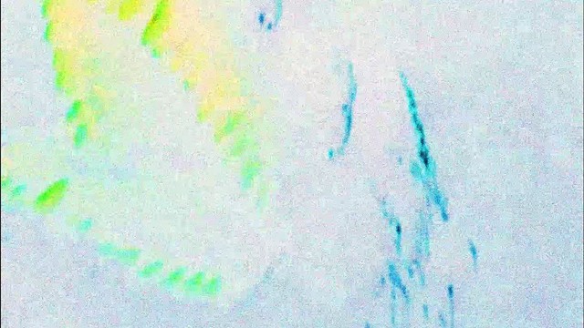 Frank Carter & The Rattlesnakes - Tyrant Lizard King